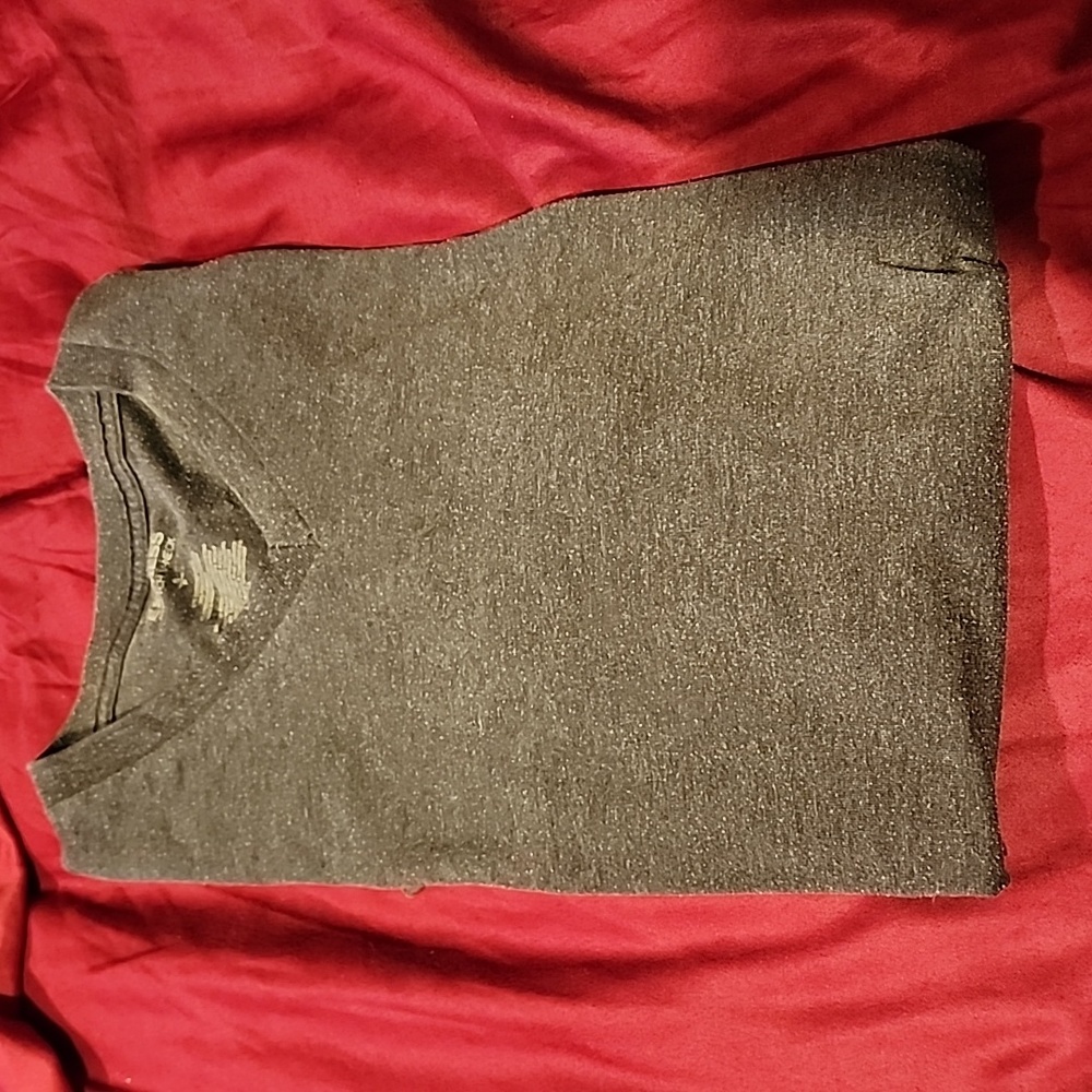 Express v neck fitted tee shirt
